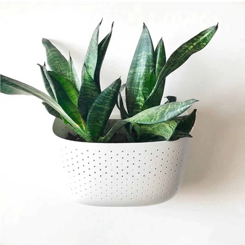 Wallygrow White Perforated Eco Wall Planter - Plant Wall - Qty 1